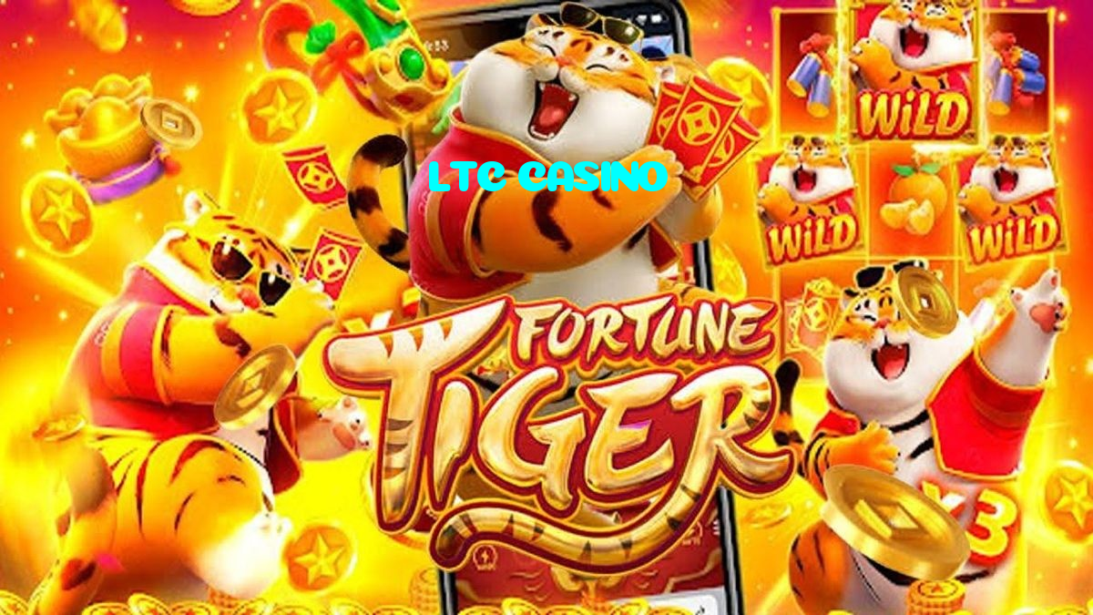 available types of LTC CASINO bet including pre-match live express and system bets